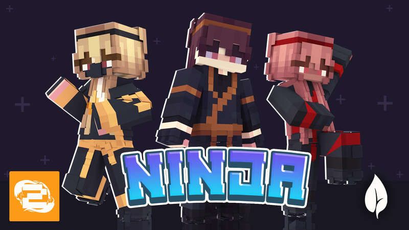 Ninja! on the Minecraft Marketplace by 2-Tail Productions