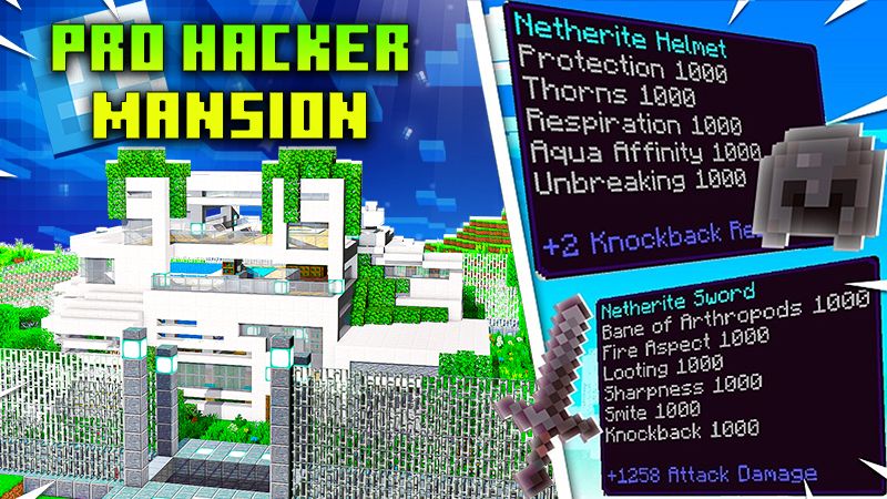 Pro Hacker Mansion