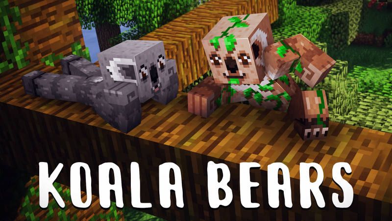 Koala Bears on the Minecraft Marketplace by 57Digital