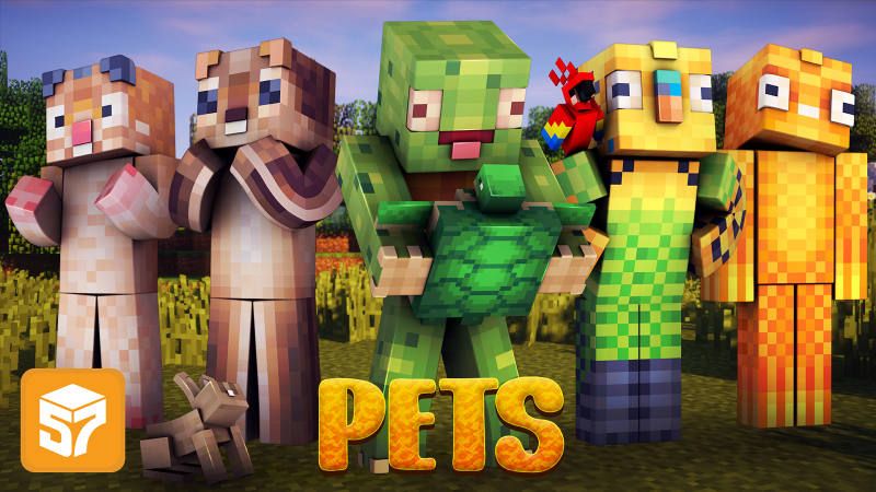 Pets on the Minecraft Marketplace by 57Digital