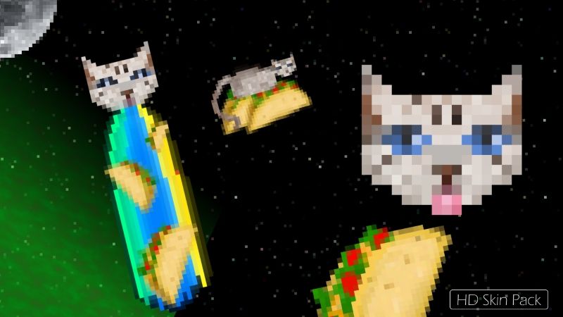 Taco Cats in Space