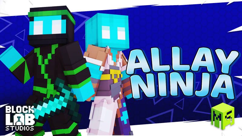 Allay Ninja on the Minecraft Marketplace by BLOCKLAB Studios