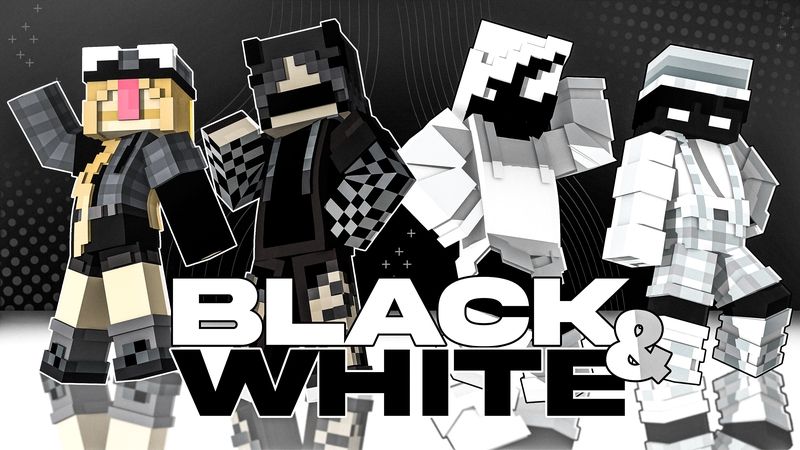 Black & White on the Minecraft Marketplace by Builders Horizon