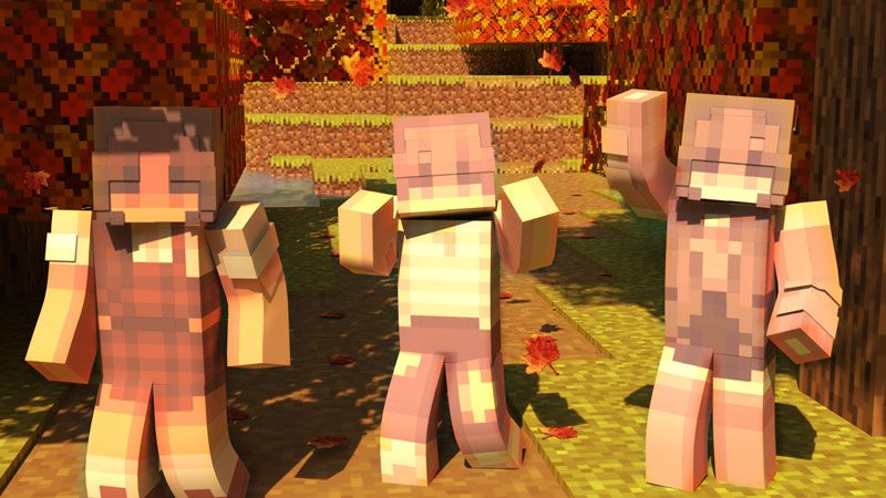 Fall Feeling on the Minecraft Marketplace by CubeCraft Games