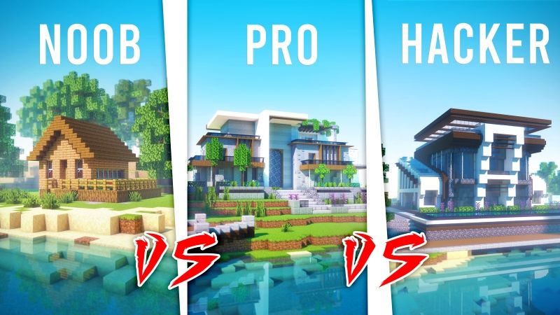 Noob vs Pro vs Hacker