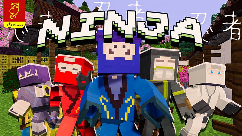 Ninja on the Minecraft Marketplace by DeliSoft Studios