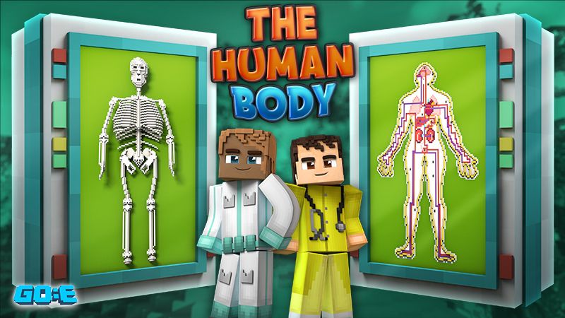 The Human Body on the Minecraft Marketplace by GoE-Craft