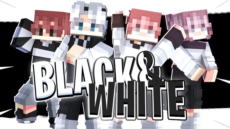 Black and White on the Minecraft Marketplace by HeroPixels