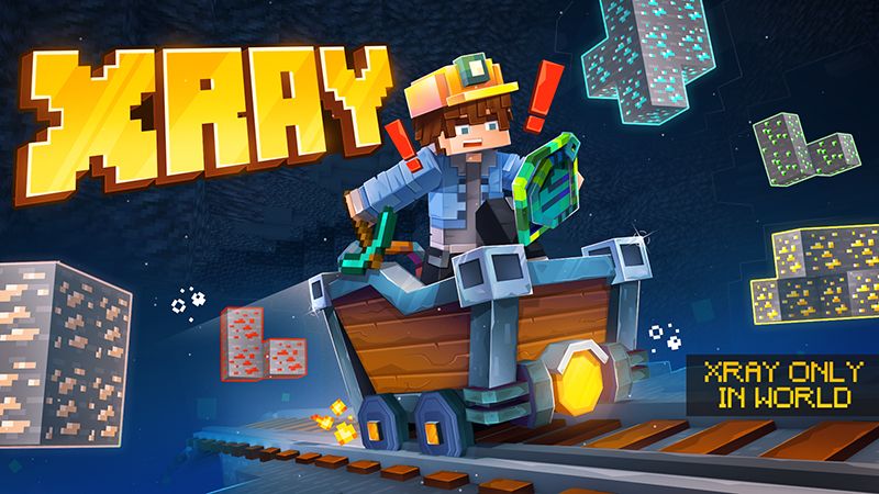 X-ray on the Minecraft Marketplace by Honeyfrost