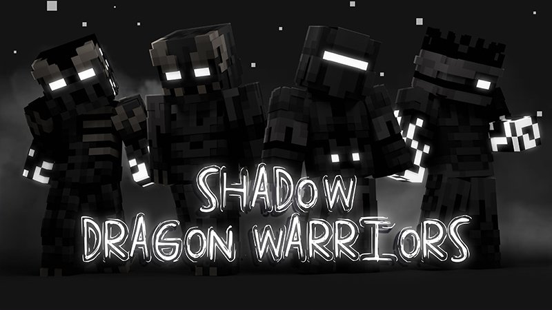 Shadow Dragon Warriors