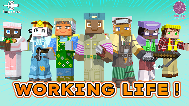 Working Life on the Minecraft Marketplace by Impress