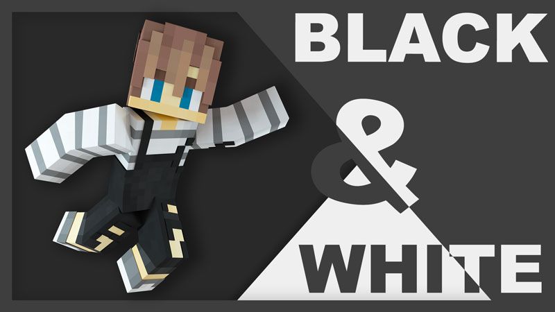 Black And White 3 on the Minecraft Marketplace by Impulse