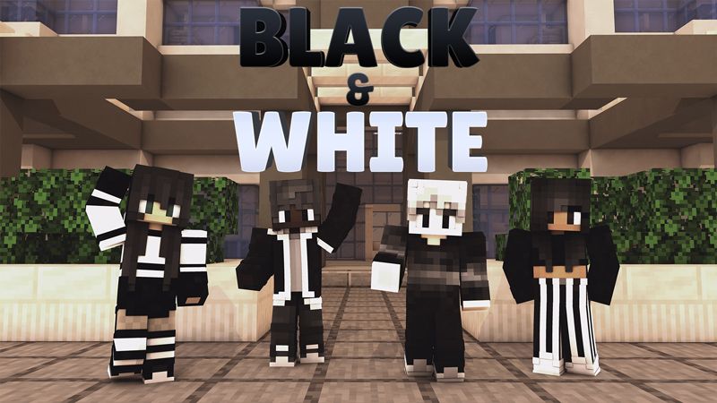 Black and White on the Minecraft Marketplace by Impulse