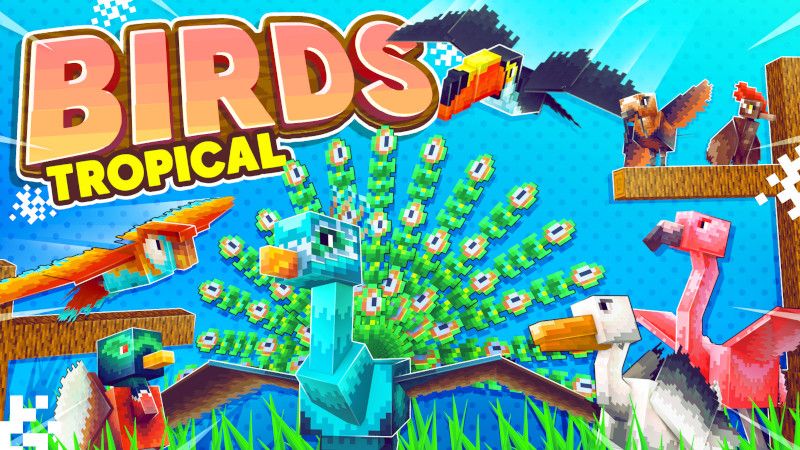 Birds: Tropical on the Minecraft Marketplace by Kreatik Studios