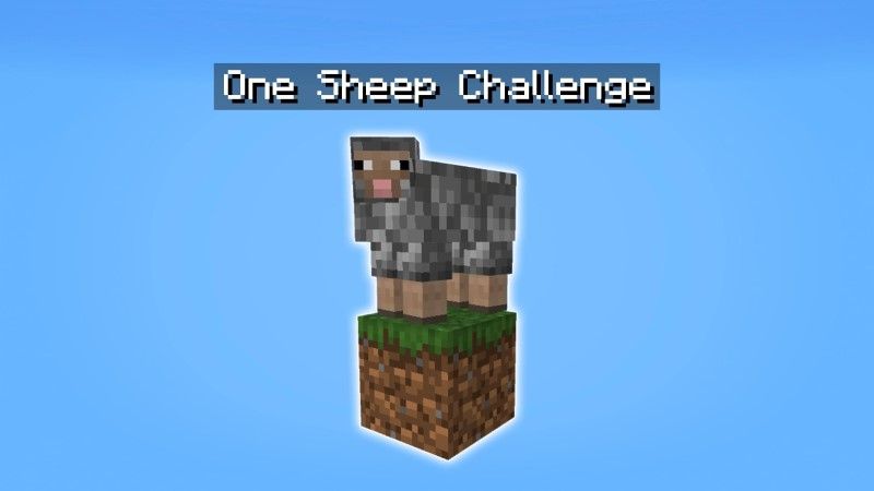 One Sheep Challenge