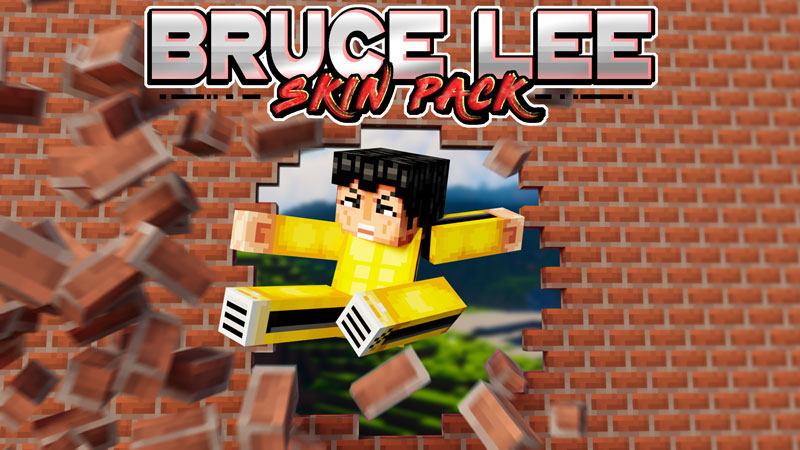Bruce Lee Skin Pack on the Minecraft Marketplace by Logdotzip