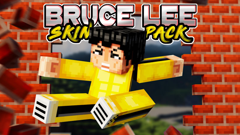 Bruce Lee Skin Pack on the Minecraft Marketplace by Logdotzip