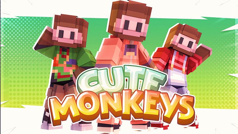 Cute Monkeys