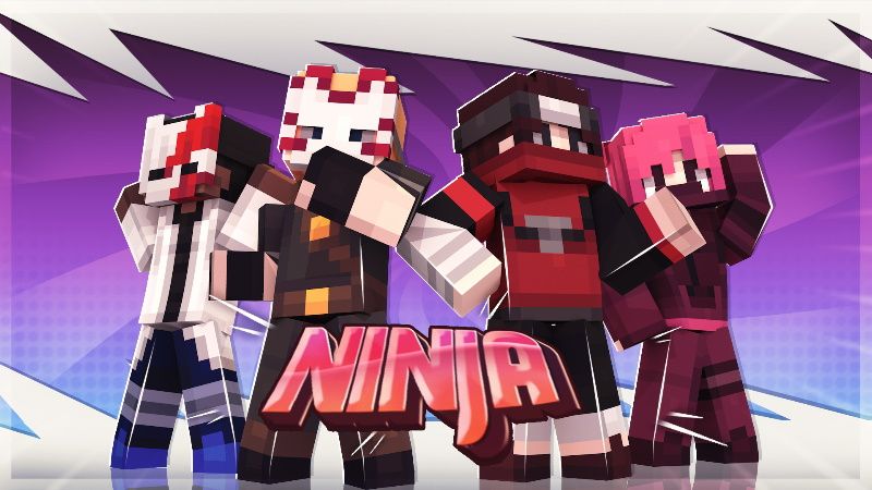 Ninja on the Minecraft Marketplace by Mine-North