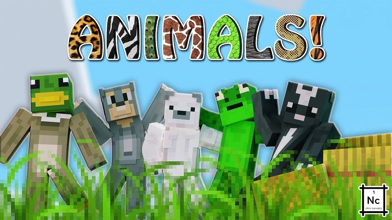 Animals