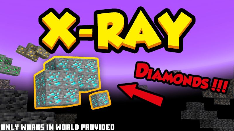 X-Ray on the Minecraft Marketplace by Nitric Concepts