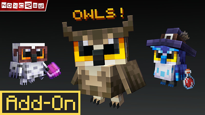 Owls Add-On on the Minecraft Marketplace by Noxcrew