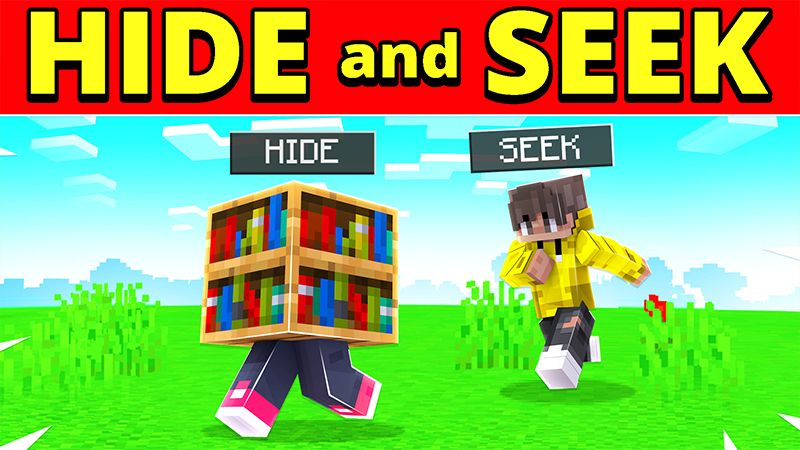 HIDE and SEEK