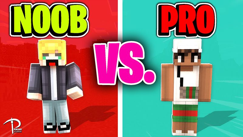 NOOB VS PRO