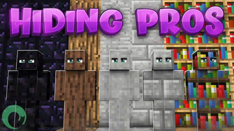 Hiding Pros on the Minecraft Marketplace by RareLoot