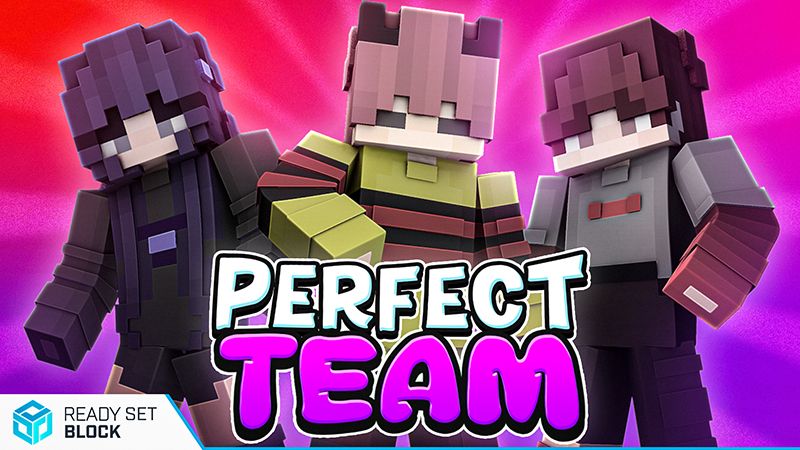 Perfect Team on the Minecraft Marketplace by Ready, Set, Block!