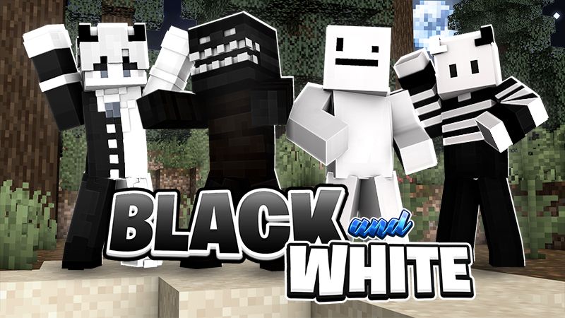 Black and White on the Minecraft Marketplace by Sapphire Studios