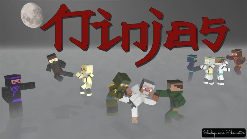 Ninjas Skin Pack on the Minecraft Marketplace by Shaliquinn's Schematics