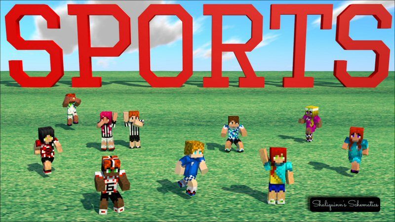 Sports Skin Pack on the Minecraft Marketplace by Shaliquinn's Schematics