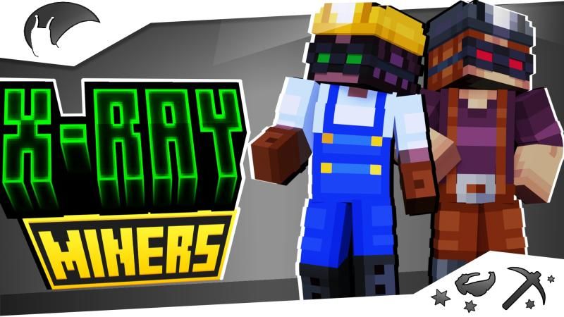 X-RAY Miners on the Minecraft Marketplace by Snail Studios