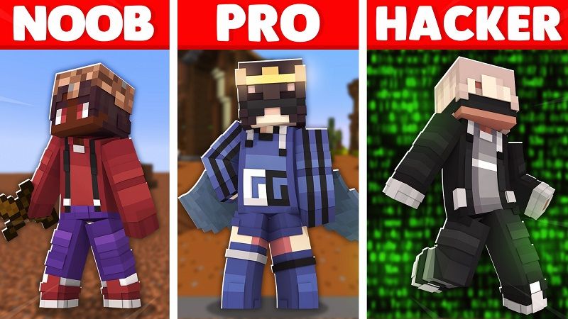 Noob Vs Pro Vs Hacker