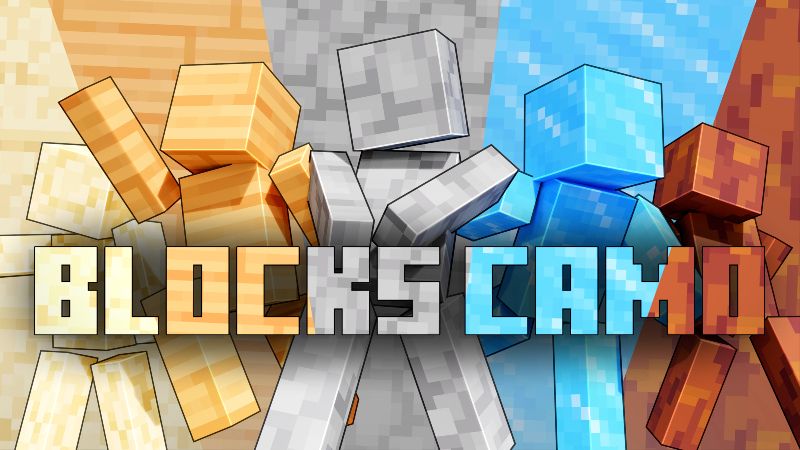 BLOCKS CAMO