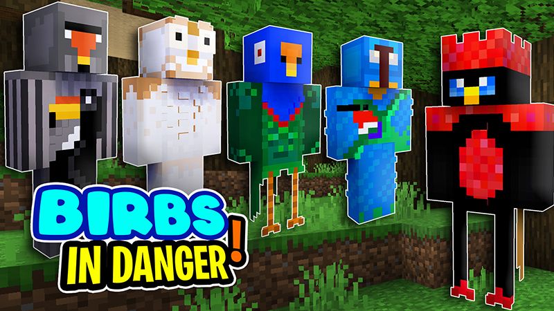 Birbs In Danger on the Minecraft Marketplace by The Lucky Petals